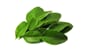 18008_Rel 18008 Lime leaves.jpg
