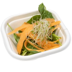 Bagasse, 280ml, Square, 600stk**lokk nr 25690/25691